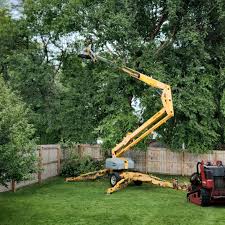 Lawn Drainage Solutions in South Congaree, SC